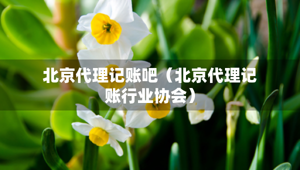 北京代理記賬吧（北京代理記賬行業(yè)協(xié)會(huì)）