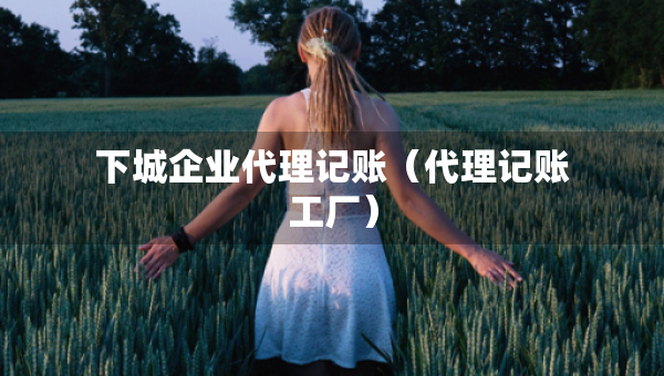 下城企業(yè)代理記賬（代理記賬工廠）