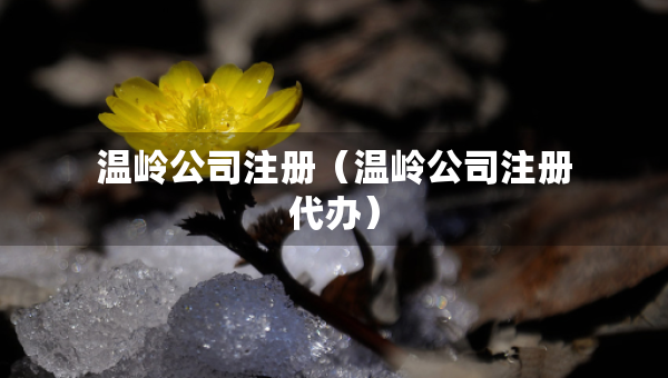 溫嶺公司注冊（溫嶺公司注冊代辦）