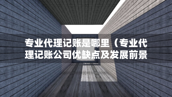 專業(yè)代理記賬是哪里（專業(yè)代理記賬公司優(yōu)缺點及發(fā)展前景論文）