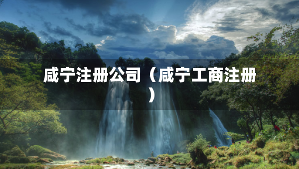 咸寧注冊(cè)公司（咸寧工商注冊(cè)）