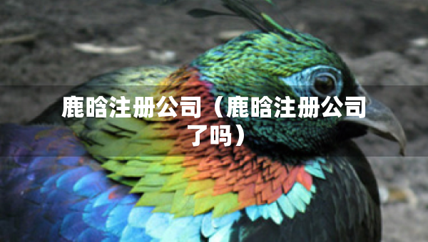 鹿晗注冊(cè)公司（鹿晗注冊(cè)公司了嗎）