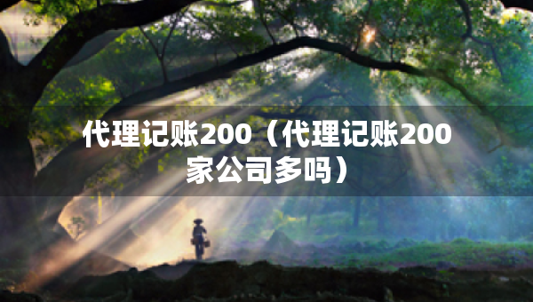 代理記賬200（代理記賬200家公司多嗎）