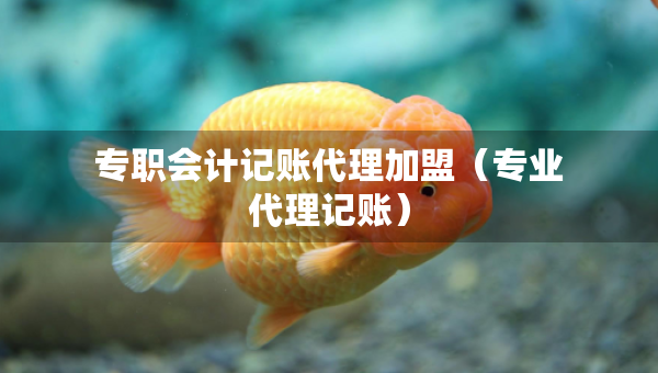 專職會計記賬代理加盟（專業(yè)代理記賬）