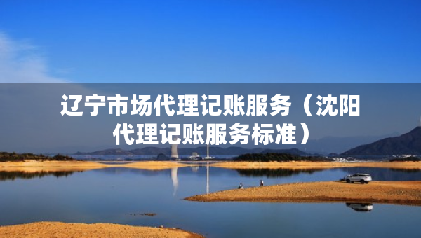 遼寧市場代理記賬服務(wù)（沈陽代理記賬服務(wù)標(biāo)準(zhǔn)）