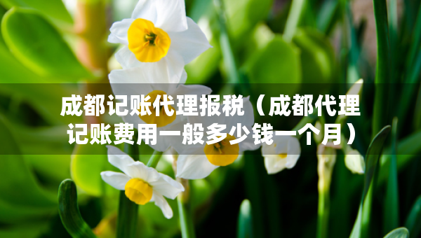 成都記賬代理報稅（成都代理記賬費用一般多少錢一個月）