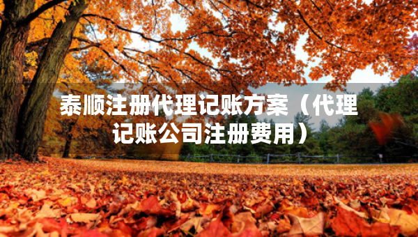 泰順注冊代理記賬方案（代理記賬公司注冊費用）