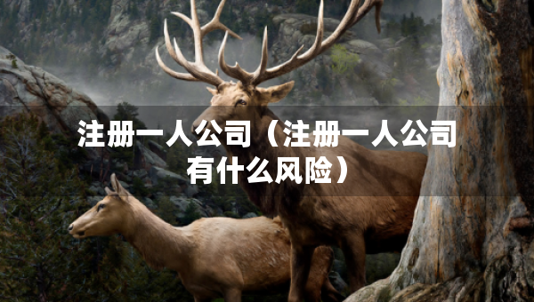 注冊一人公司（注冊一人公司有什么風(fēng)險）