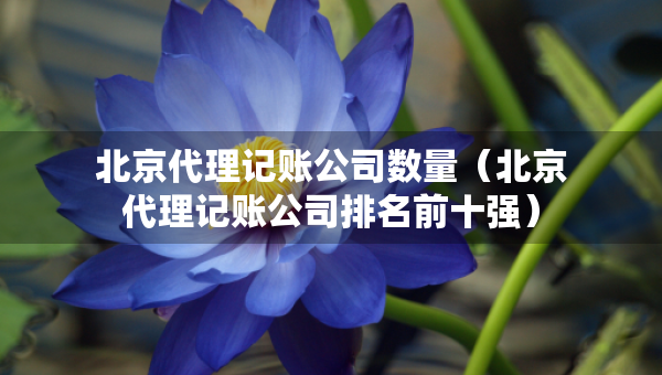 北京代理記賬公司數(shù)量（北京代理記賬公司排名前十強）