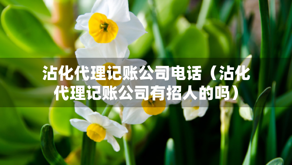 沾化代理記賬公司電話（沾化代理記賬公司有招人的嗎）