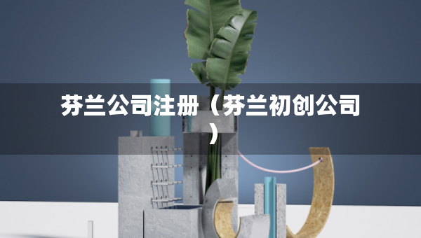 芬蘭公司注冊（芬蘭初創(chuàng)公司）