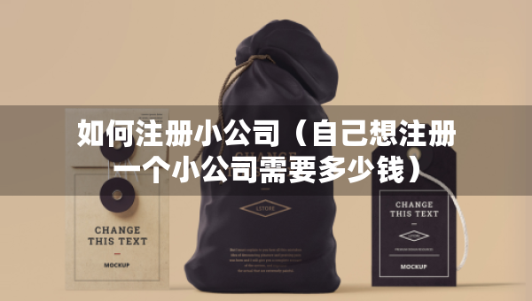 如何注冊小公司（自己想注冊一個小公司需要多少錢）