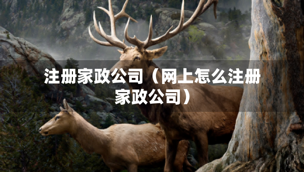 注冊(cè)家政公司（網(wǎng)上怎么注冊(cè)家政公司）