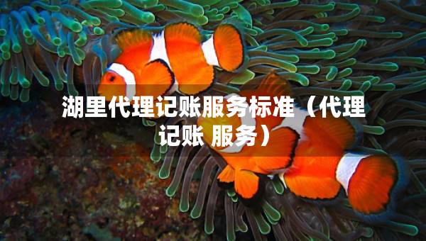 湖里代理記賬服務標準（代理記賬 服務）