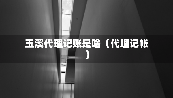 玉溪代理記賬是啥（代理記帳）