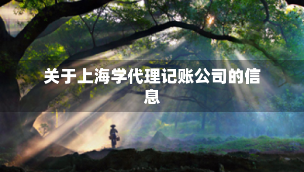 關(guān)于上海學(xué)代理記賬公司的信息