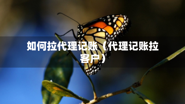 如何拉代理記賬（代理記賬拉客戶）