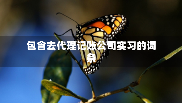 包含去代理記賬公司實(shí)習(xí)的詞條