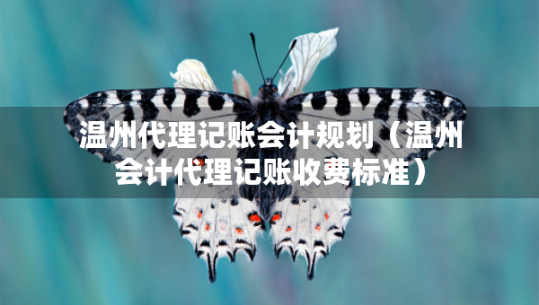溫州代理記賬會計規(guī)劃（溫州會計代理記賬收費標(biāo)準(zhǔn)）