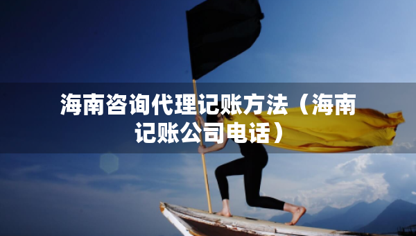 海南咨詢代理記賬方法（海南記賬公司電話）