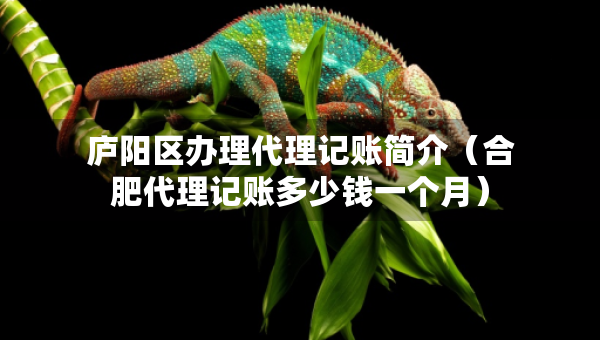 廬陽區(qū)辦理代理記賬簡介（合肥代理記賬多少錢一個月）