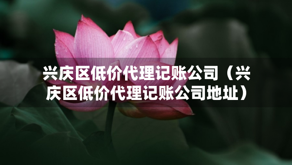 興慶區(qū)低價代理記賬公司（興慶區(qū)低價代理記賬公司地址）