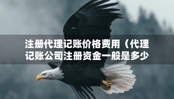 注冊(cè)代理記賬價(jià)格費(fèi)用（代理記賬公司注冊(cè)資金一般是多少）