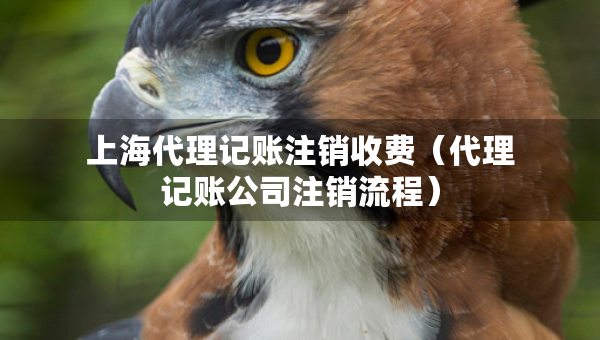 上海代理記賬注銷(xiāo)收費(fèi)（代理記賬公司注銷(xiāo)流程）