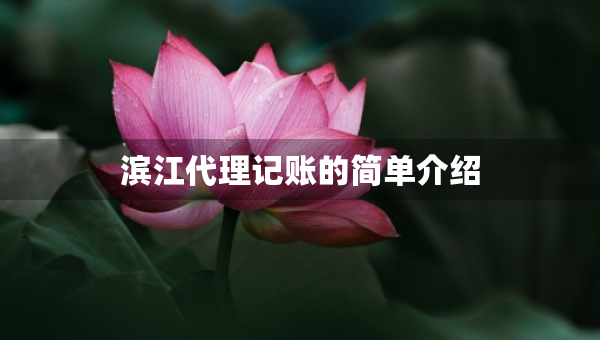 濱江代理記賬的簡(jiǎn)單介紹