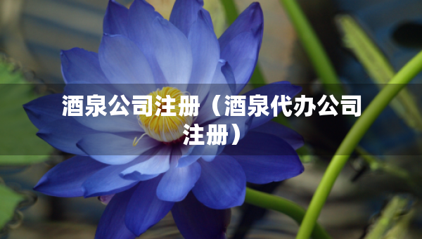 酒泉公司注冊（酒泉代辦公司注冊）