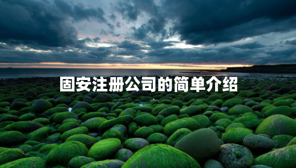 固安注冊公司的簡單介紹