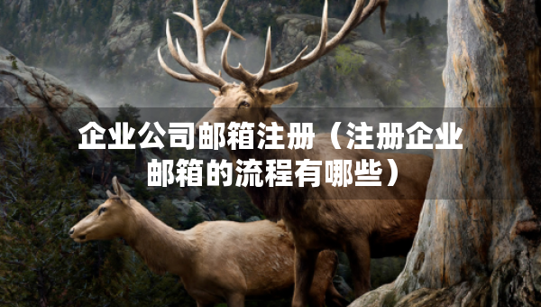 企業(yè)公司郵箱注冊(cè)（注冊(cè)企業(yè)郵箱的流程有哪些）