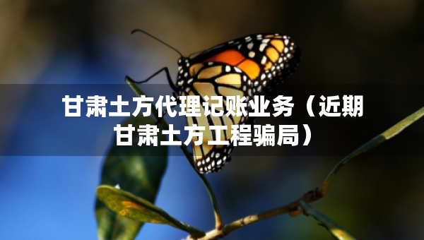 甘肅土方代理記賬業(yè)務(wù)（近期甘肅土方工程騙局）