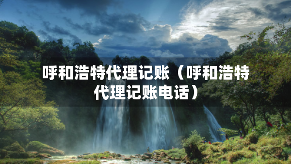 呼和浩特代理記賬（呼和浩特代理記賬電話）