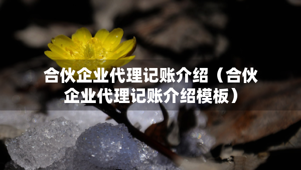 合伙企業(yè)代理記賬介紹（合伙企業(yè)代理記賬介紹模板）