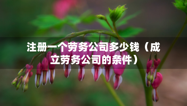 注冊一個(gè)勞務(wù)公司多少錢（成立勞務(wù)公司的條件）