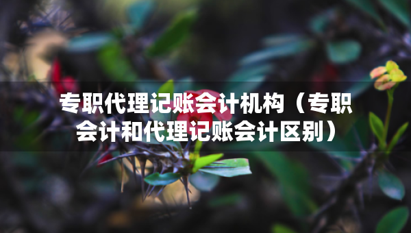 專職代理記賬會計(jì)機(jī)構(gòu)（專職會計(jì)和代理記賬會計(jì)區(qū)別）