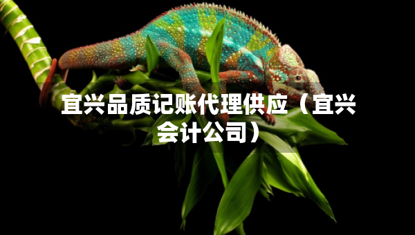 宜興品質(zhì)記賬代理供應(yīng)（宜興會(huì)計(jì)公司）