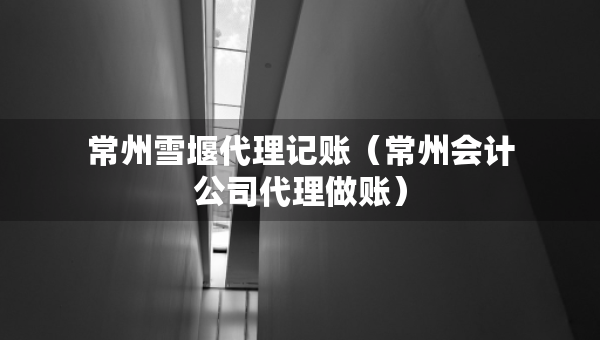 常州雪堰代理記賬（常州會計(jì)公司代理做賬）