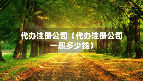 代辦注冊公司（代辦注冊公司一般多少錢）