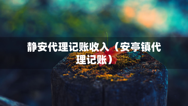 靜安代理記賬收入（安亭鎮(zhèn)代理記賬）