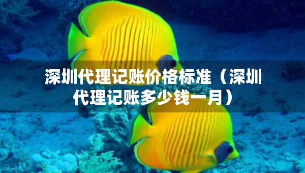深圳代理記賬價(jià)格標(biāo)準(zhǔn)（深圳代理記賬多少錢一月）