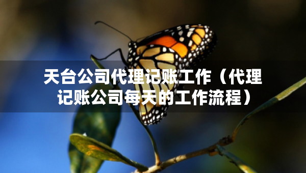 天臺(tái)公司代理記賬工作（代理記賬公司每天的工作流程）