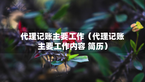 代理記賬主要工作（代理記賬主要工作內(nèi)容 簡(jiǎn)歷）