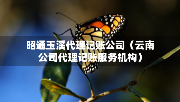 昭通玉溪代理記賬公司（云南公司代理記賬服務(wù)機(jī)構(gòu)）
