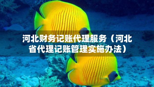 河北財(cái)務(wù)記賬代理服務(wù)（河北省代理記賬管理實(shí)施辦法）