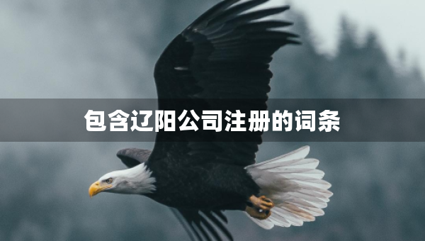 包含遼陽(yáng)公司注冊(cè)的詞條