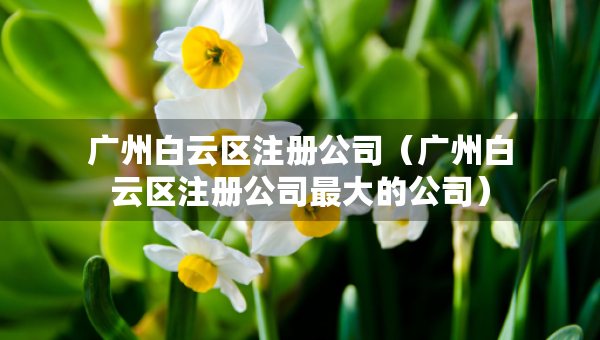 廣州白云區(qū)注冊公司（廣州白云區(qū)注冊公司最大的公司）