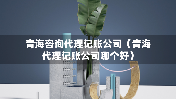 青海咨詢代理記賬公司（青海代理記賬公司哪個好）