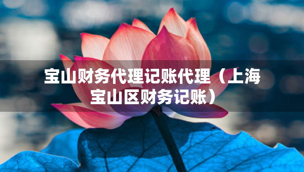 寶山財(cái)務(wù)代理記賬代理（上海寶山區(qū)財(cái)務(wù)記賬）